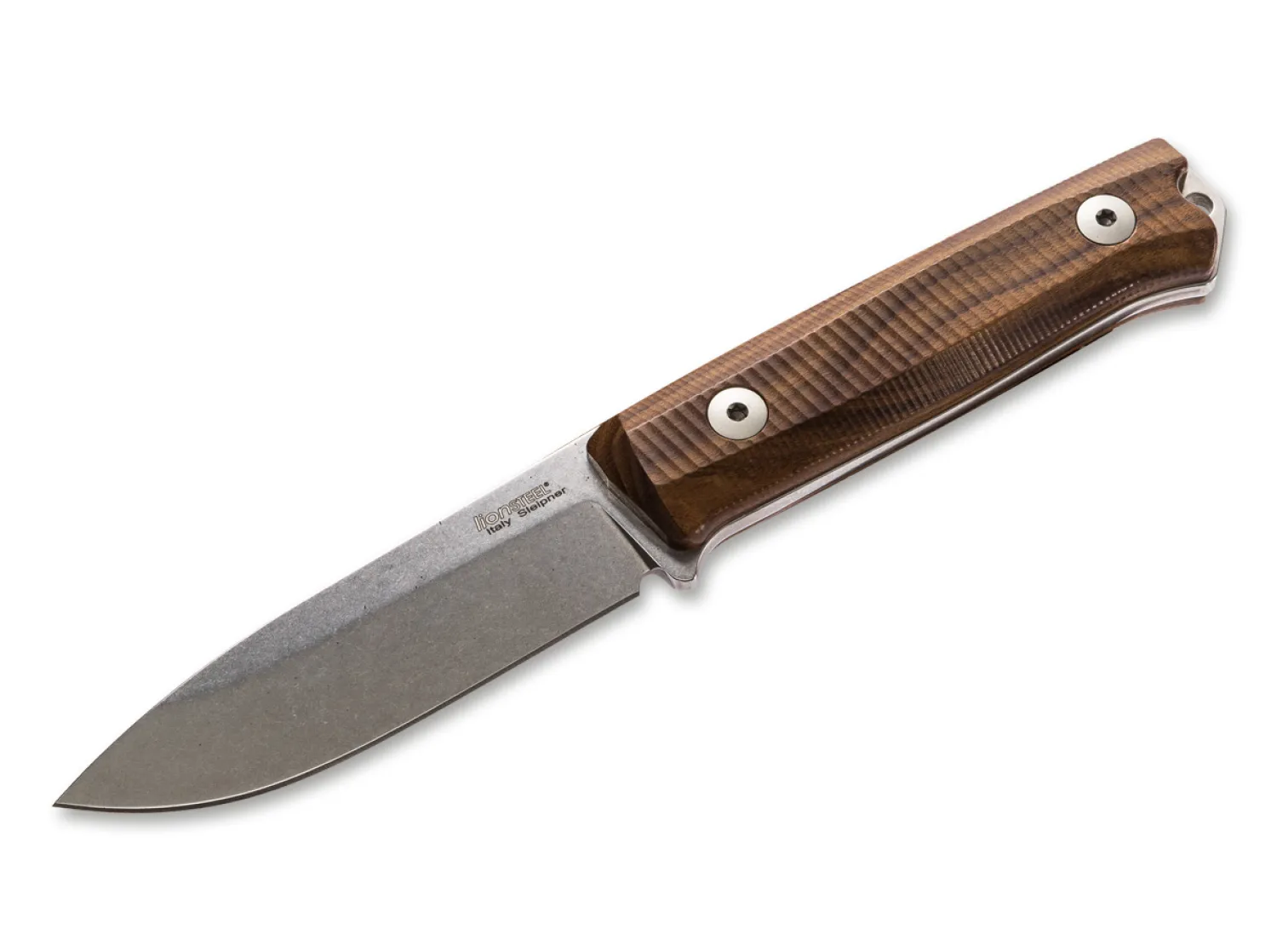 LionSteel B40 Santos