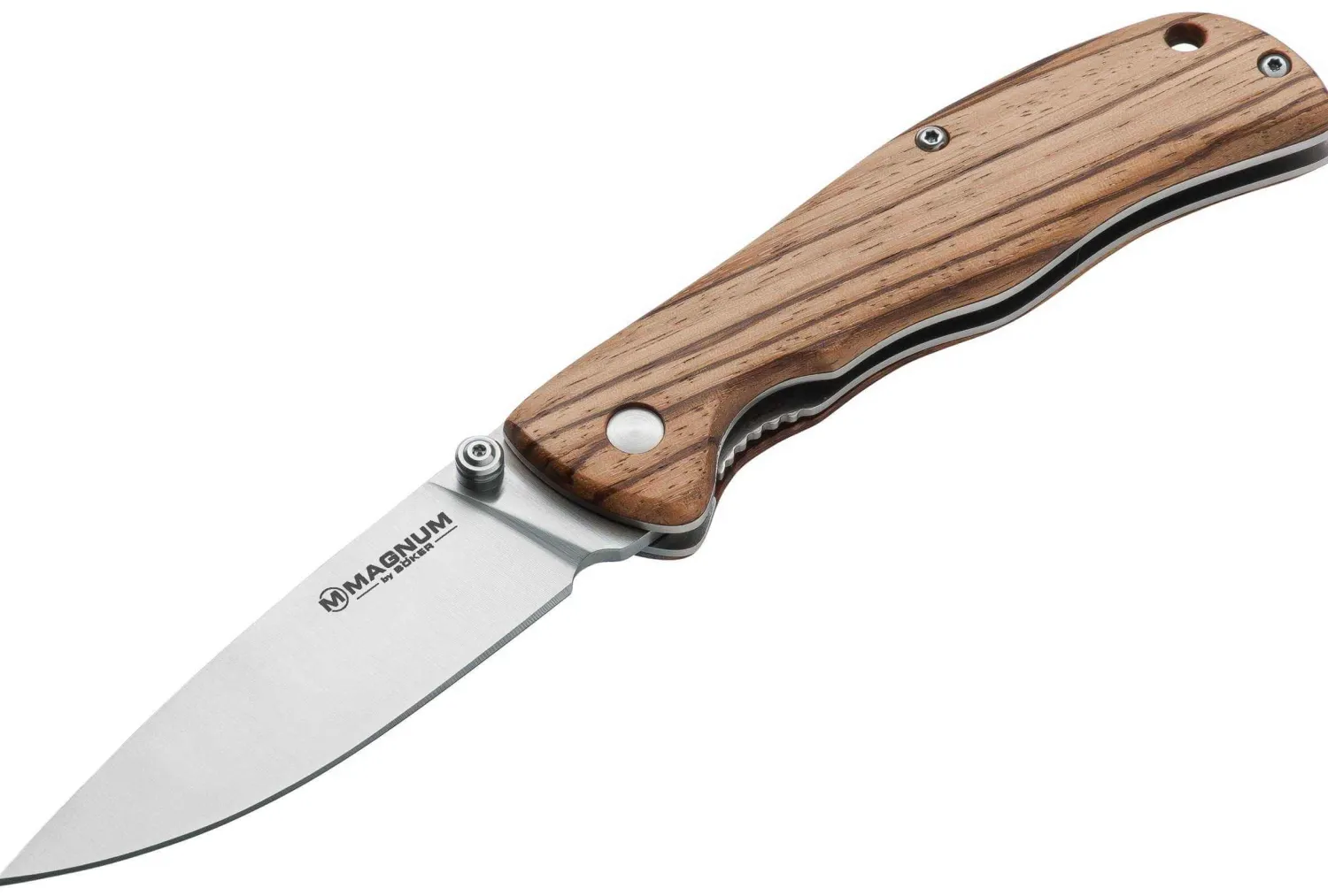 Magnum Backpacker