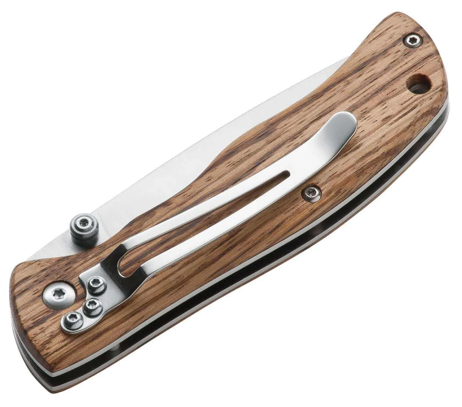 Magnum Backpacker