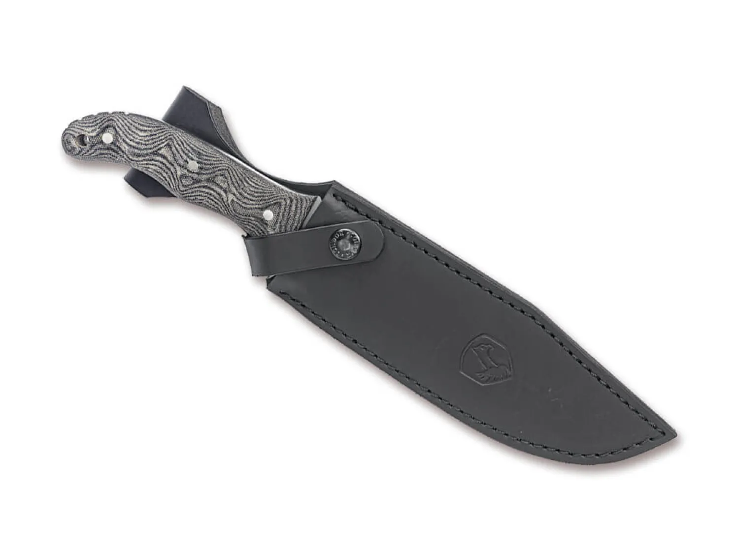 Condor Belgian Bowie