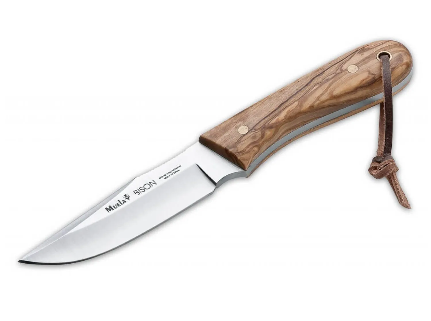 Muela Bison Olive