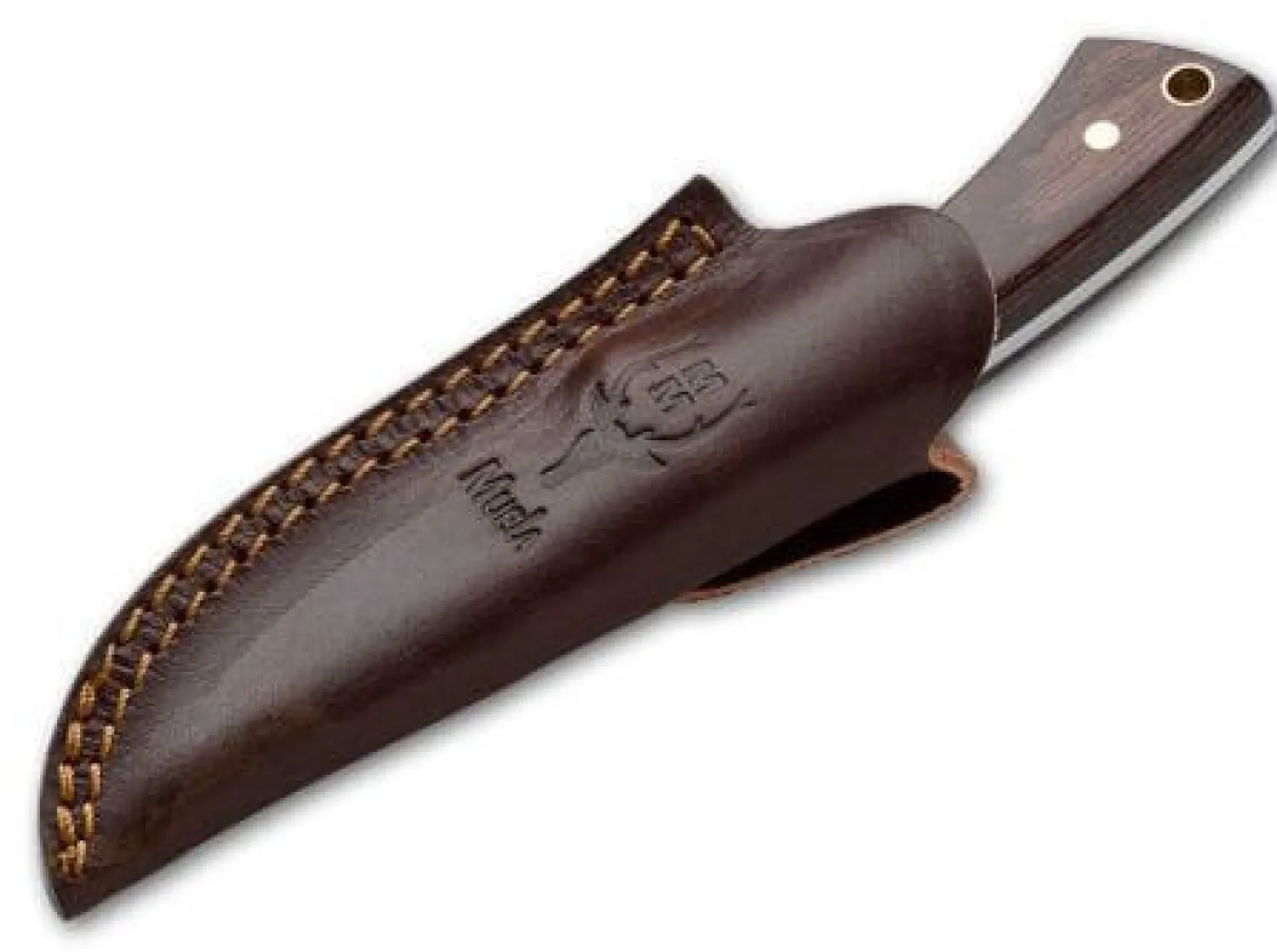 Muela Colibri Wood