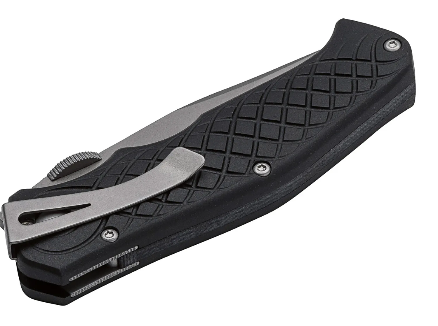 Steel Will Druid Folder Clippoint