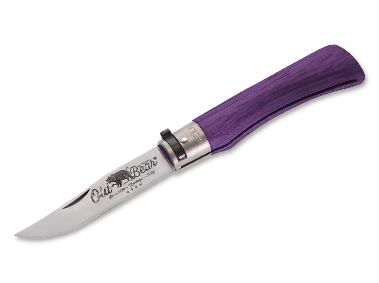 Old Bear Full Color L Purple