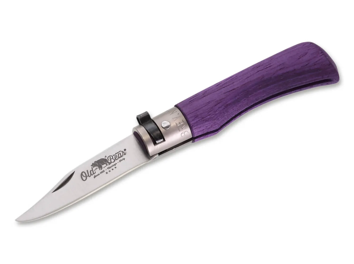 Old Bear Full Color XS Purple