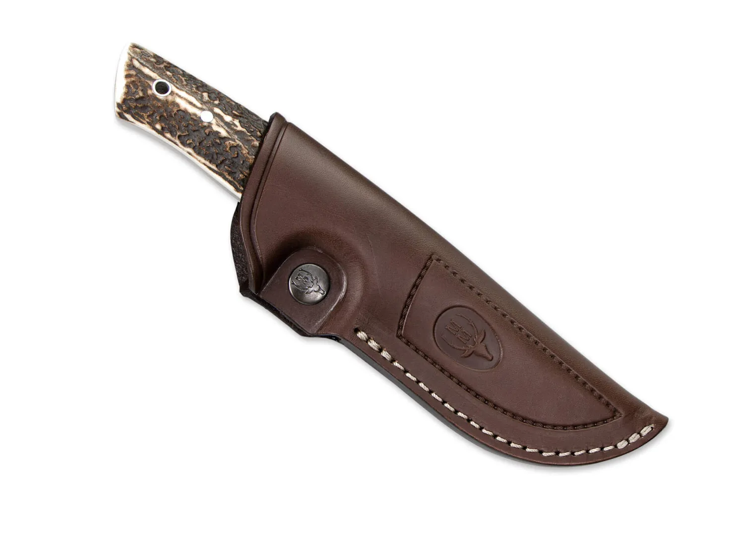 Muela Kodiak Stag