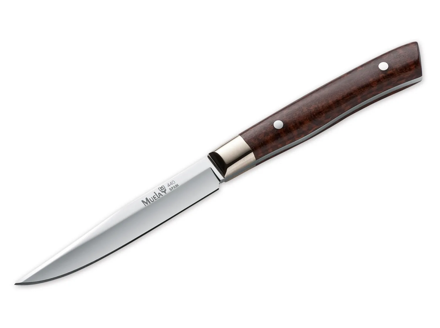 Muela MA Snakewood