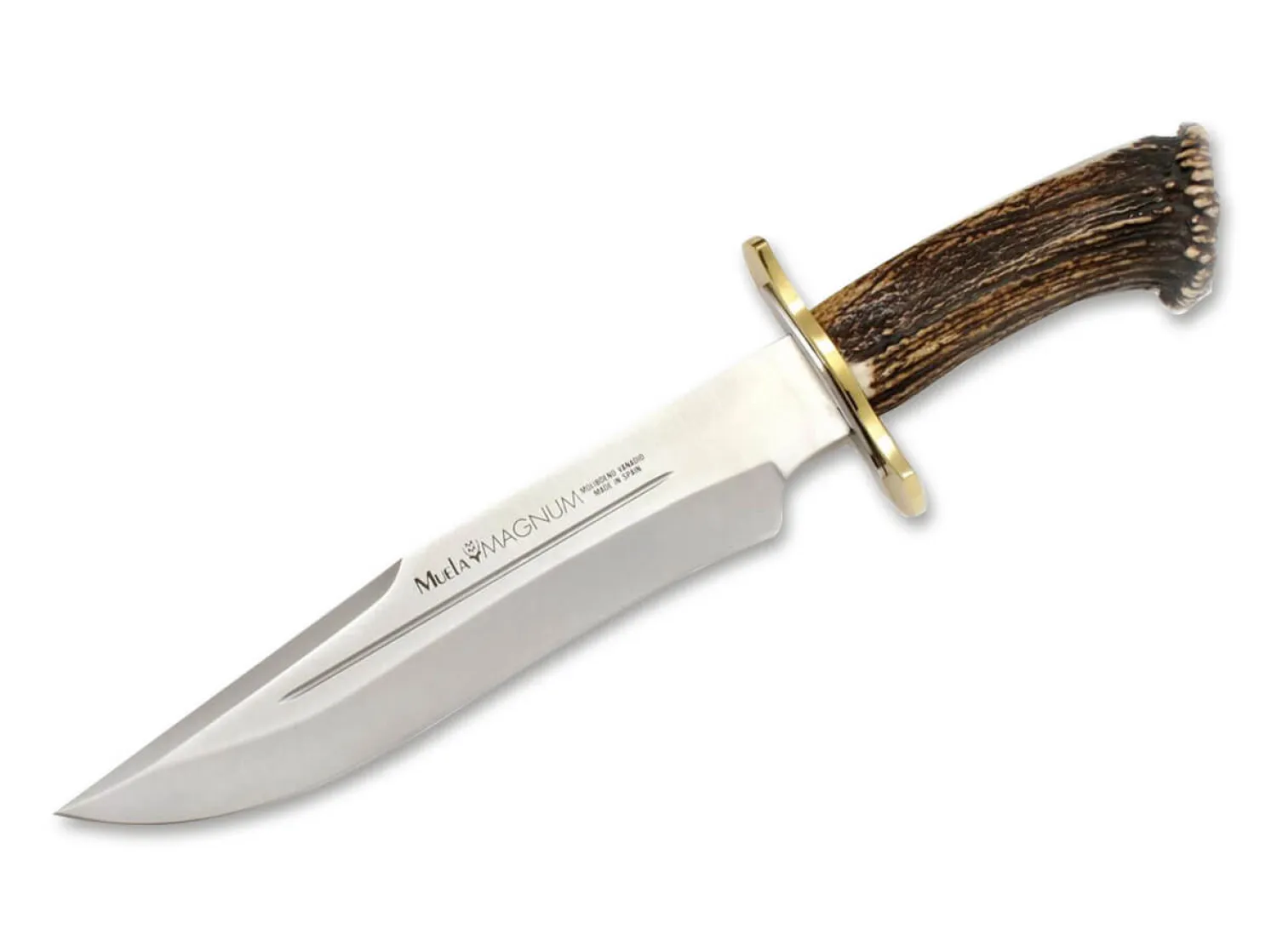 Muela Magnum Bowie 26