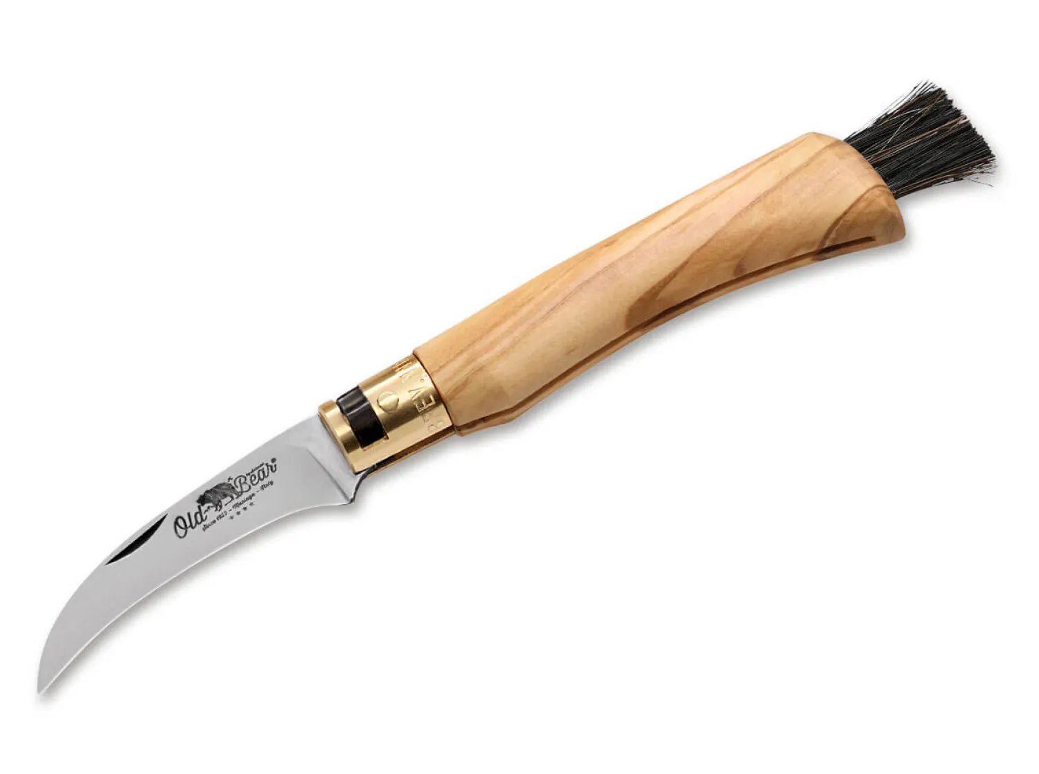 Old Bear Mushroom Olive