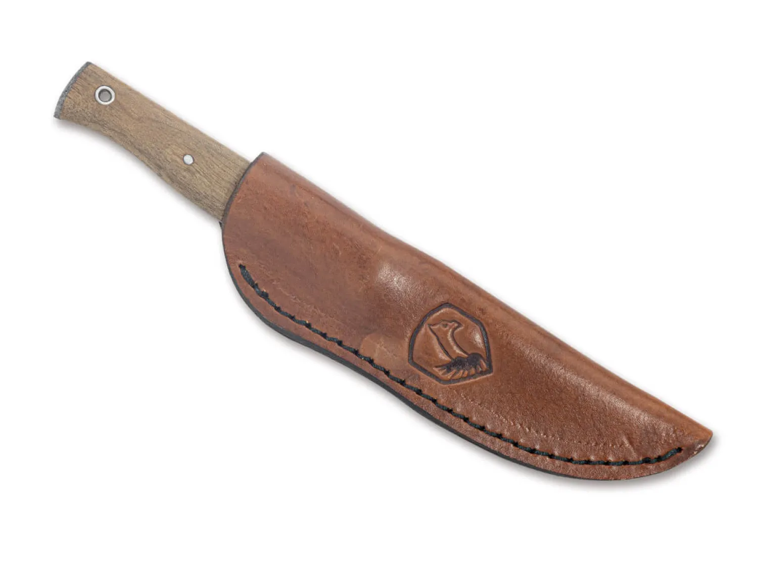 Condor Narrowsaur Knife