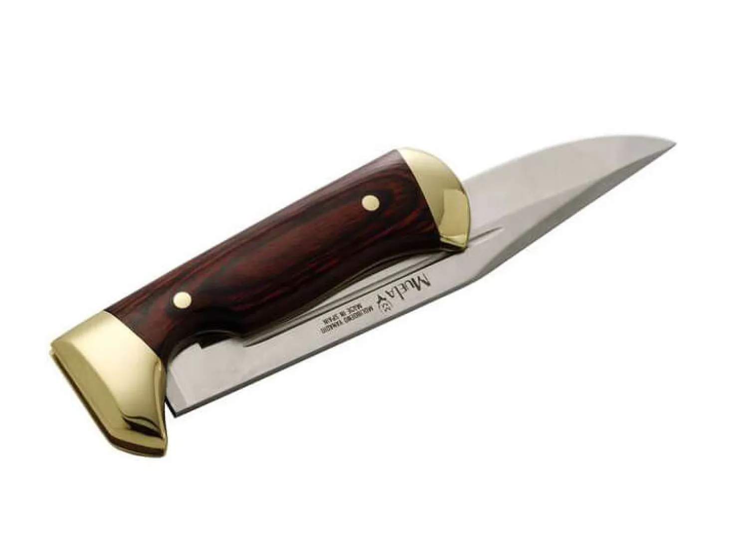 Muela Plegables 18R