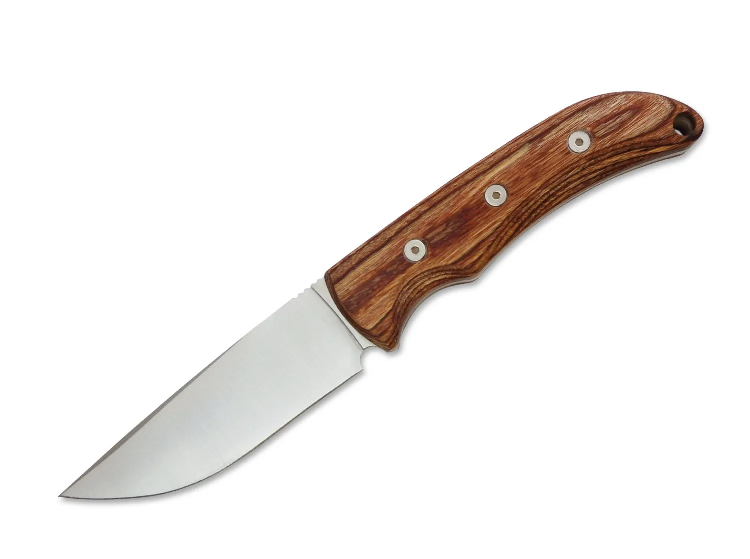 Ontario Robeson Drop Point Hunter
