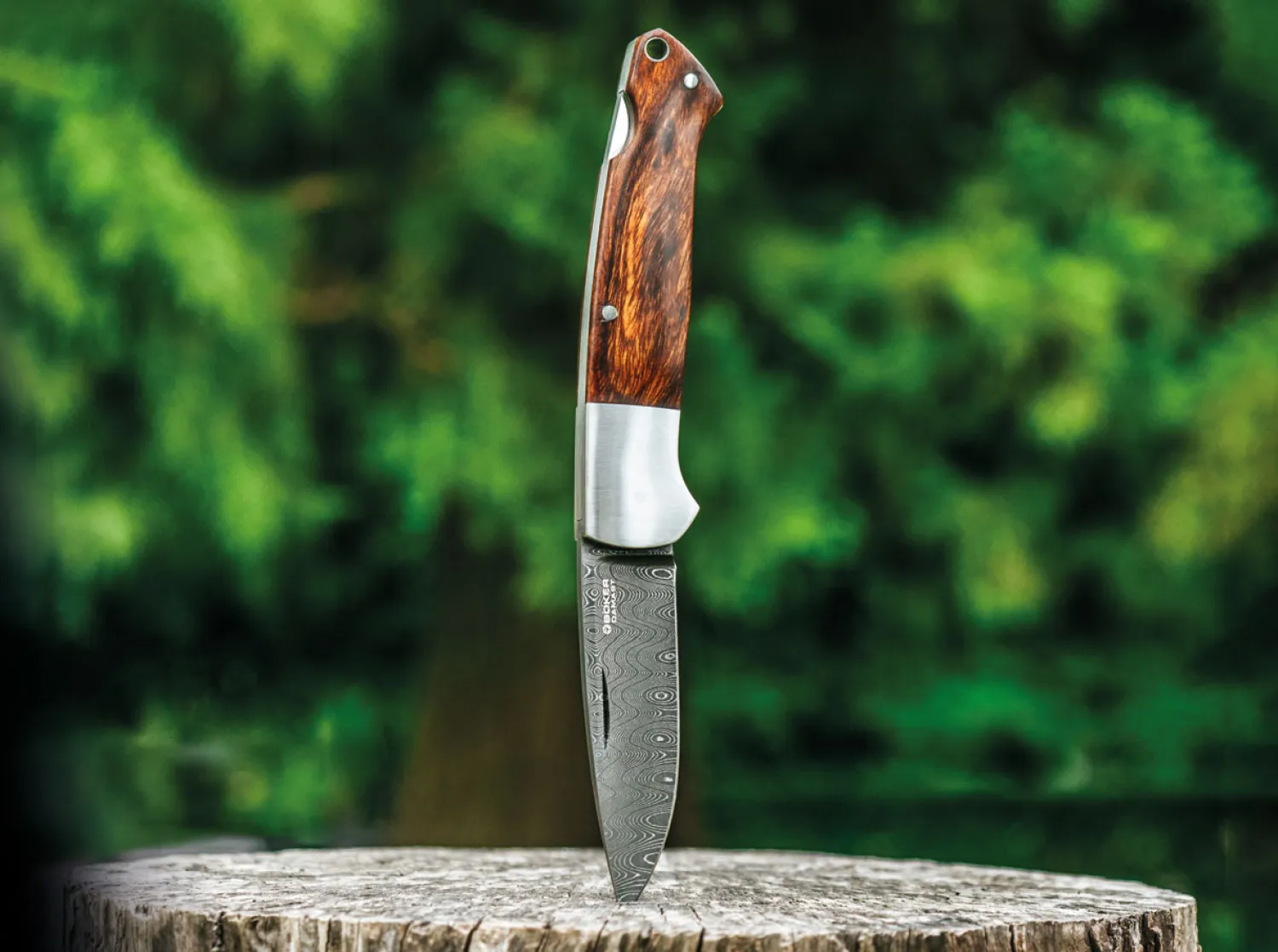 Böker Manufaktur Solingen Special Run Davis Classic Hunter Damast WE