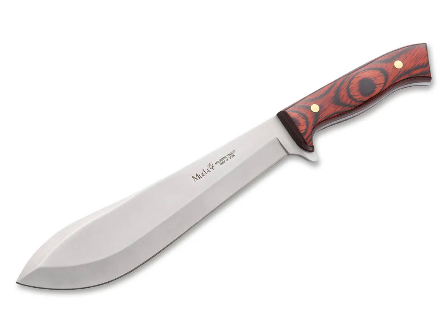 Muela Machete Coral Wood
