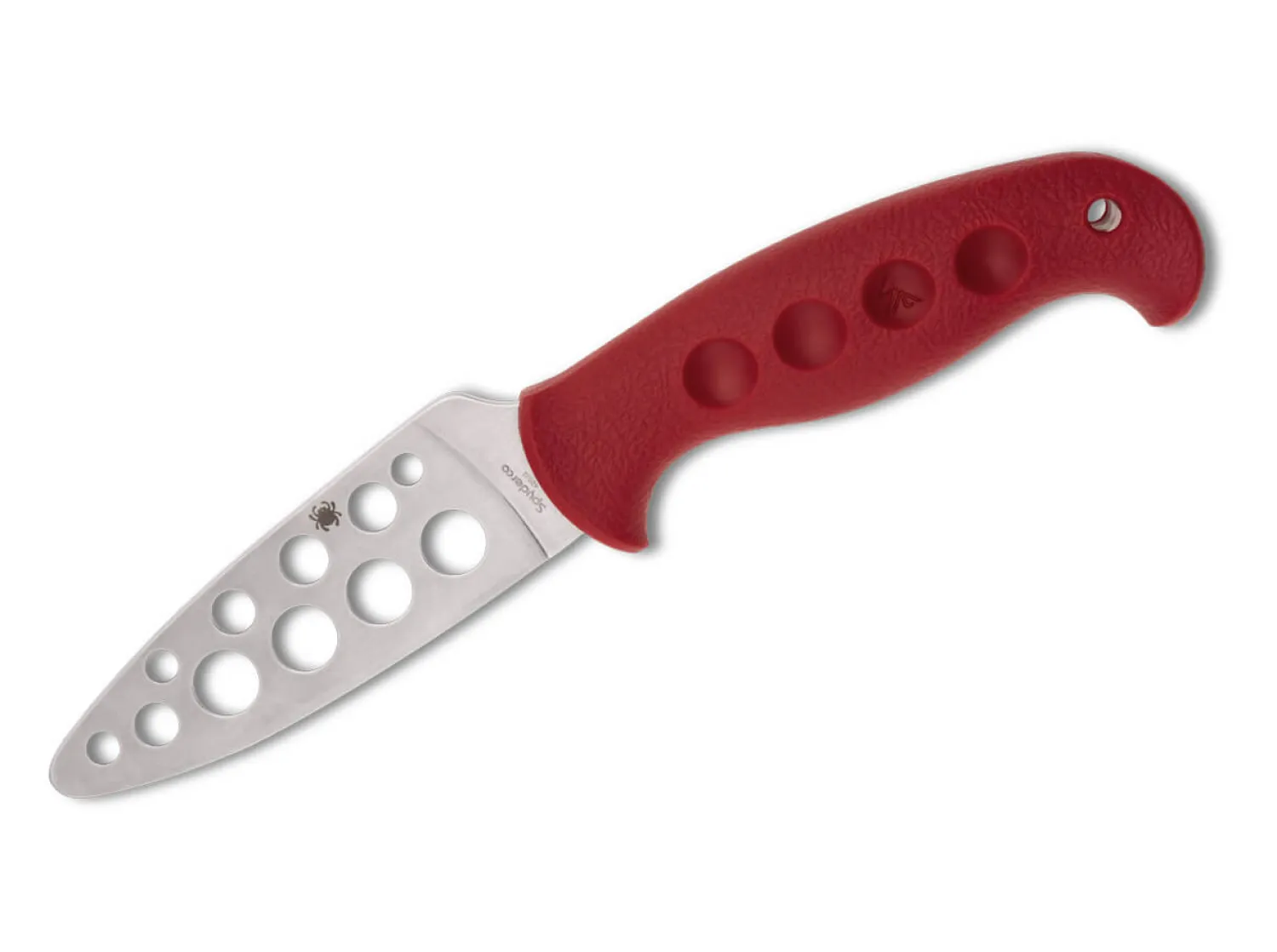Spyderco Temperance Trainer 420J2 Sprint Run